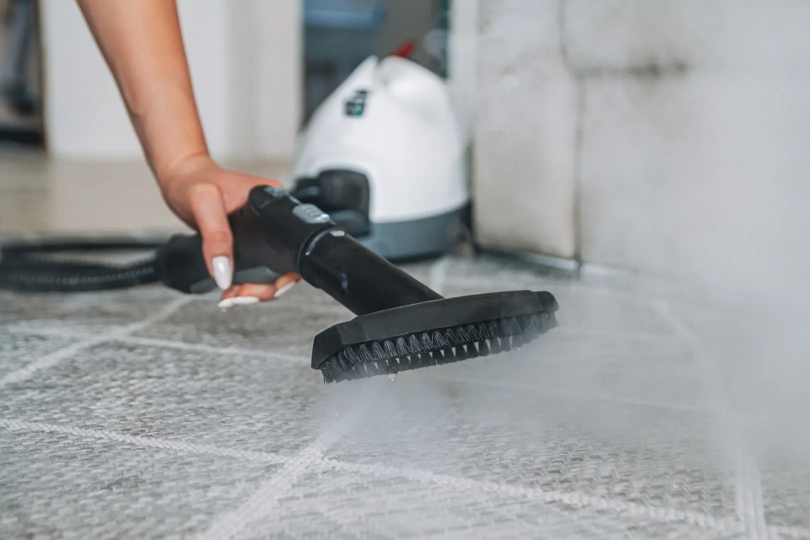 Professional deep carpet cleaning using steam cleaning equipment